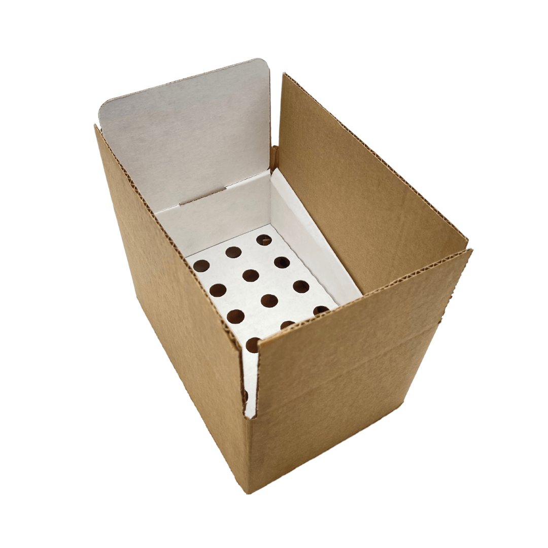 White Pop Counter Display - Small (Fits 24 Tubes)