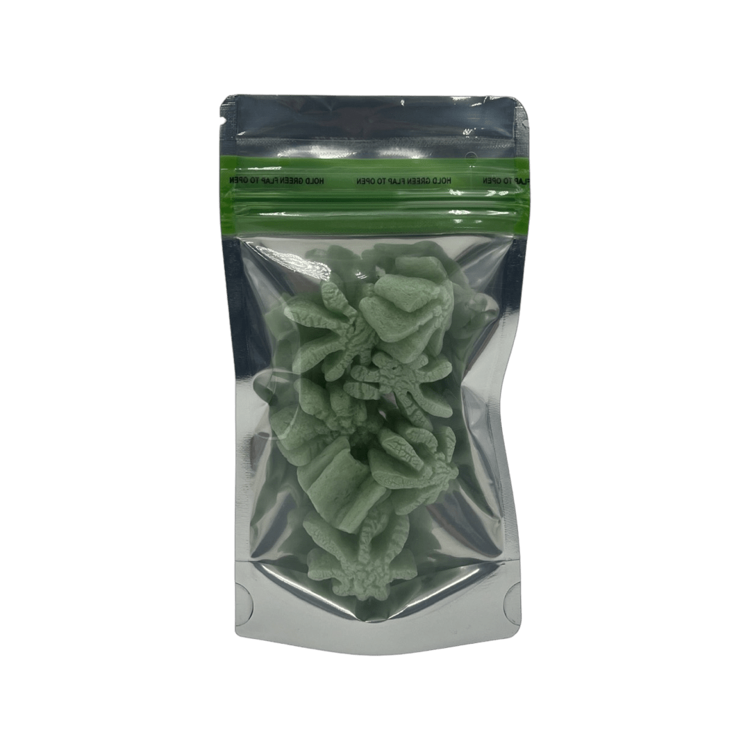 Bag King Child-Resistant Clear Front Green Zipper Bag | 1/4 oz