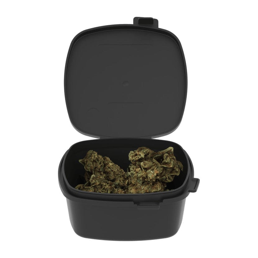 CRATIV Vault 40 Dram Accelerator