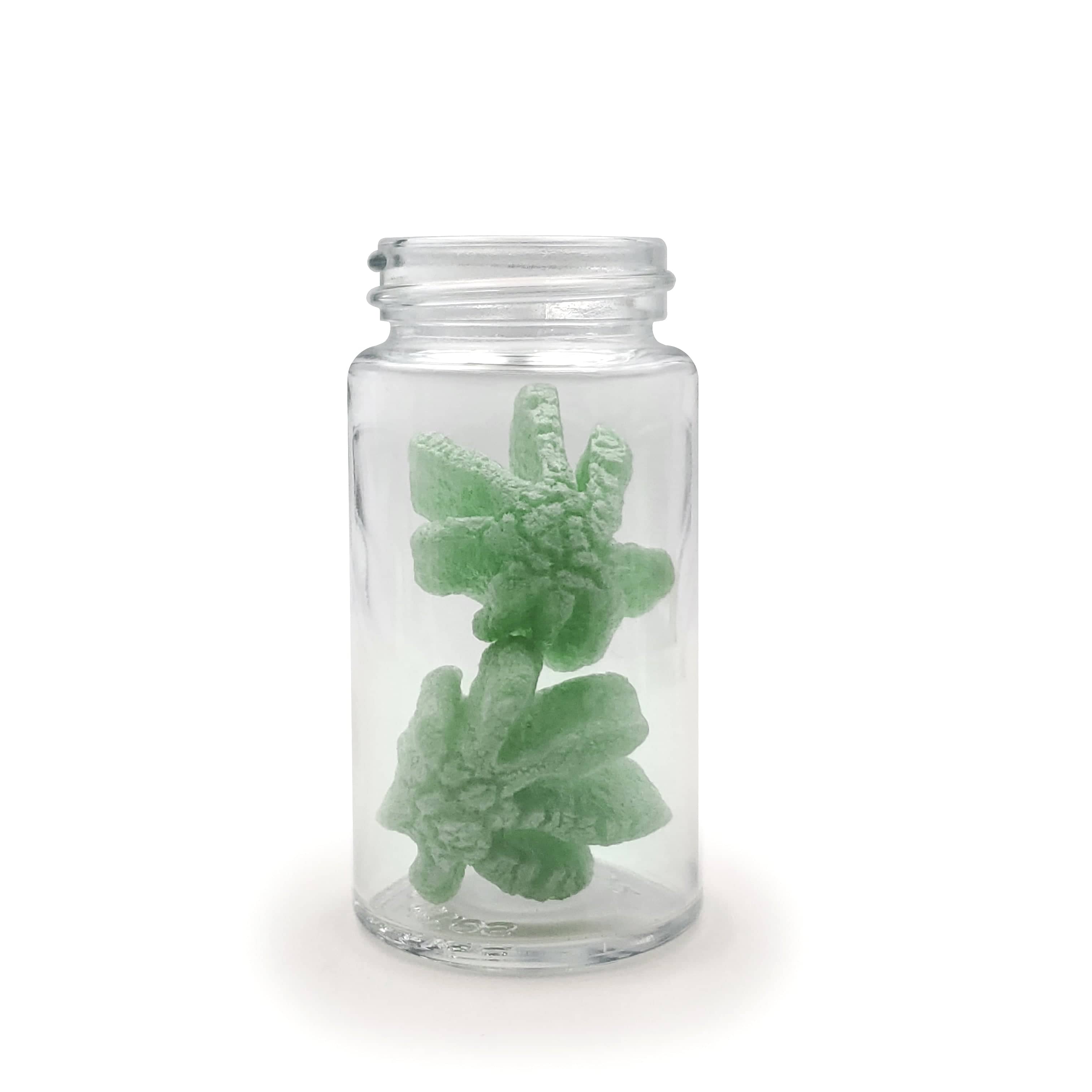 eBottles 84mm Glass Bottle