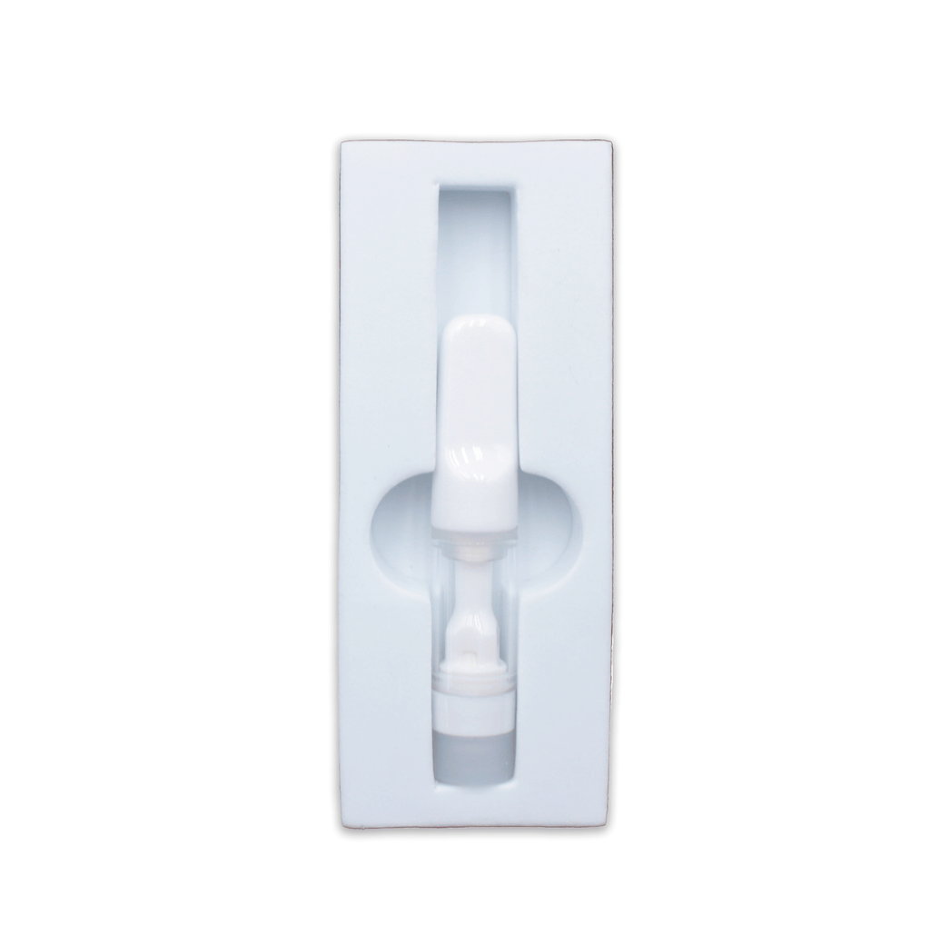 Paper Box with Foam Cartridge Insert