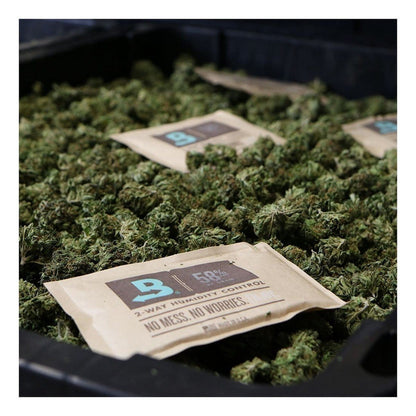 Single Pack 58% RH Boveda Humidity Control Pack | 67 gram