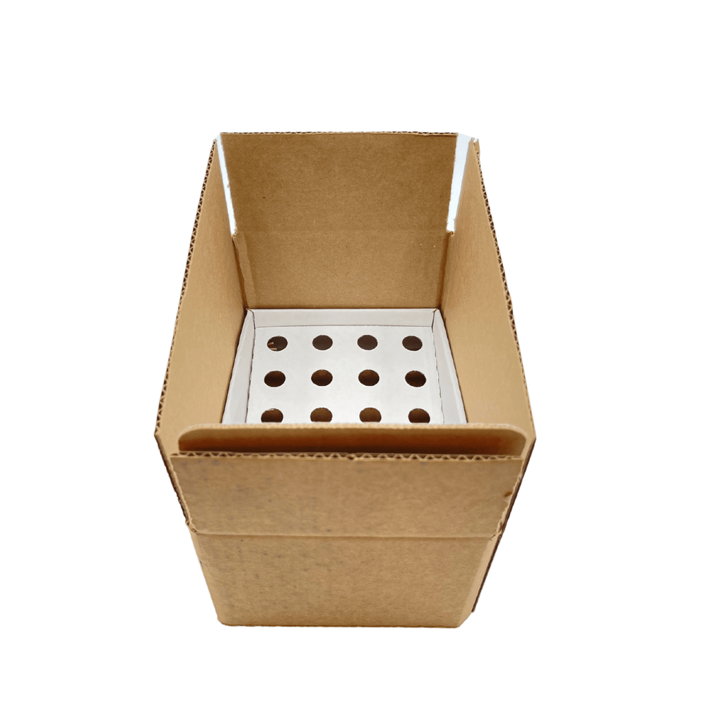 White Pop Counter Display - Small (Fits 24 Tubes)